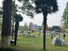 -黄海国家森林公园