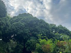 -黄埔油麻山森林公园