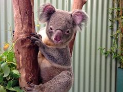 -费瑟代尔野生动物园