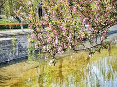 -元大都城垣遗址公园