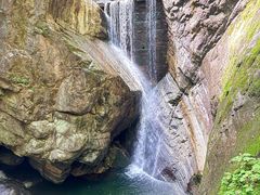 -牛背梁国家森林公园