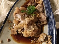 -百利鸽王(紫薇路店)