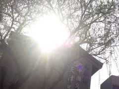 iphone_upload_pic-卫鼎轩·家宴(水上公园店)