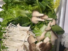 -红鼎豆捞·专注品质海鲜20年(宝丰路店)