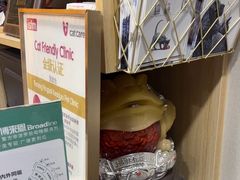 -瑞派宠物医院·犬猫全科·猫友好(宾水西道店)