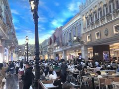-澳门威尼斯人综合度假区