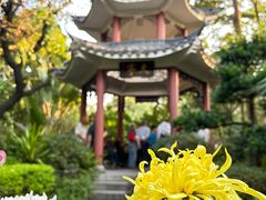 -广州文化公园