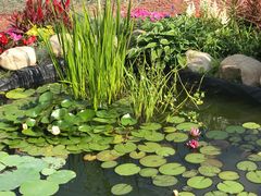 -长春公园(普阳街道)