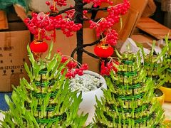 -天河体育中心