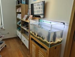 点击看大图 -ZX·美睫设计师汇聚店