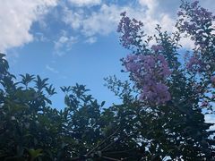 -武汉紫薇都市田园