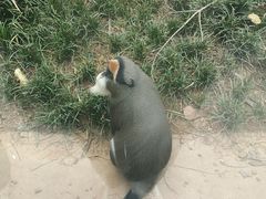 -石家庄市动物园