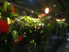 -舌尖上的食缘花园主题餐厅