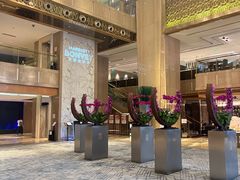 -广州粤海喜来登酒店