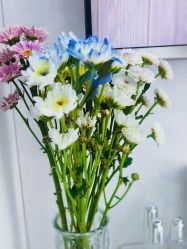 -靓芙泉专研痘痘肌