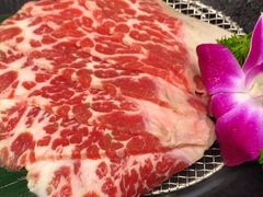 -杨小佳·齐齐哈尔烤肉·烤串(广州店)
