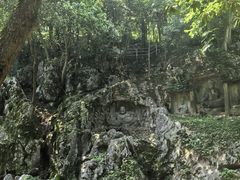 -灵隐飞来峰景区