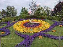 -花钟