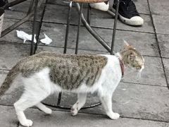 -李刚油条