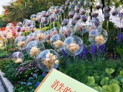 -海心沙亚运公园