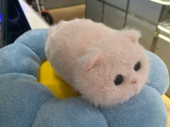 -鹰巢数码·EAGLE’S NEST(SKP店)