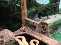-上海大自然野生昆虫馆(东方明珠·爬宠昆虫探索中心)