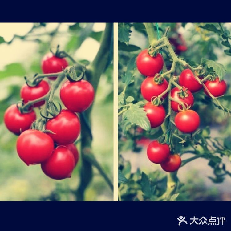 夏日溜娃亲近大自然的首选宝地