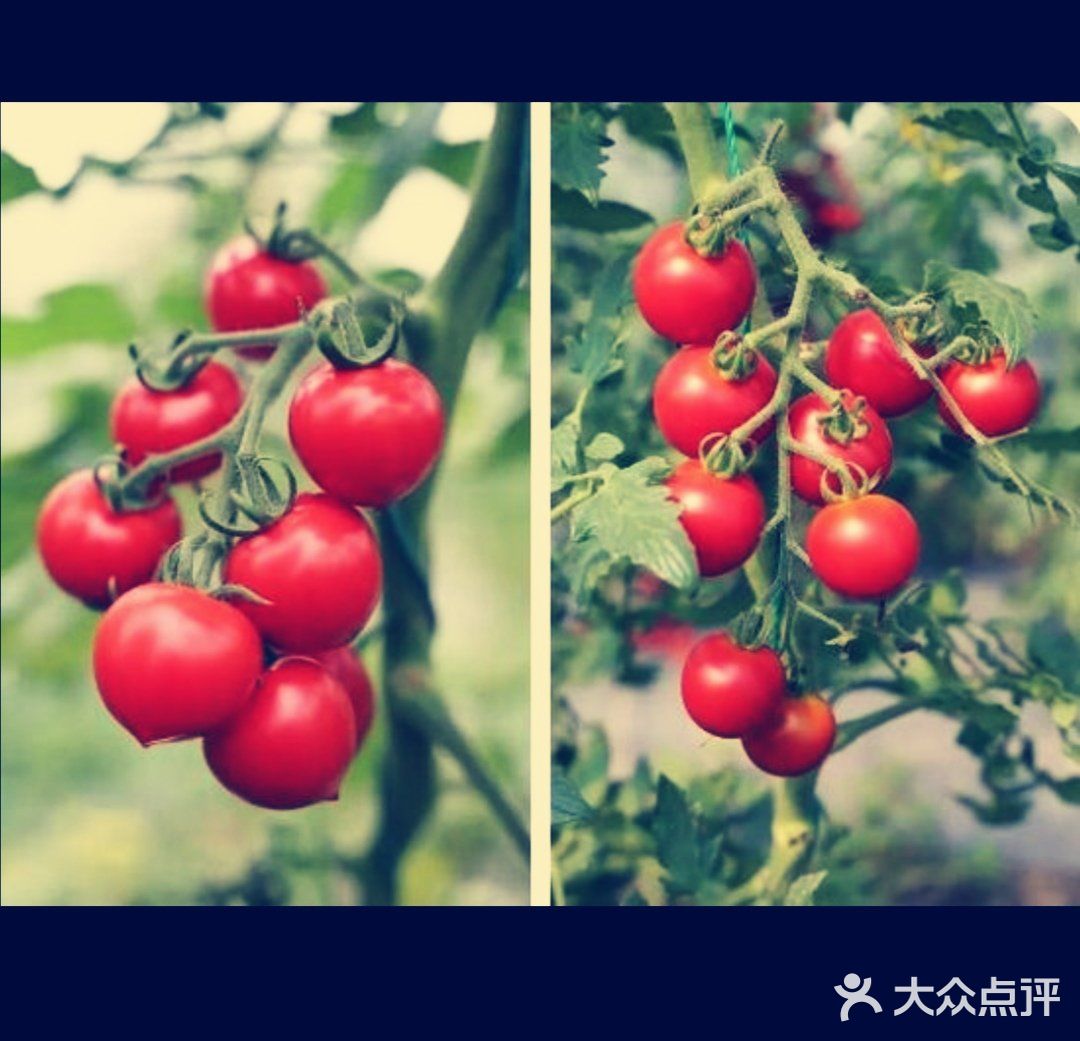 夏日溜娃亲近大自然的首选宝地