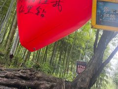 -将军关探险漂流