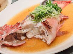 东星斑-金悦轩海鲜城(渔人码头店)