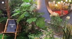 -花隐·美芙炫海菲秀皮肤管理中心