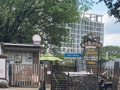 -柴犬高等学院·狗咖·柴犬售卖·宠物训练