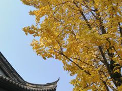 -重庆园博园
