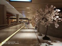 -嘉悦汗蒸时代(曙光路店)