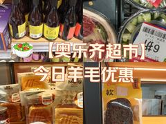 -ALDI奥乐齐超市(浦东大华锦绣优嘉店)