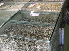 -刘艳明炒货(小心桥店)