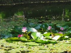 -长白岛森林公园