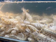 -港畔赶海蒸汽海鲜烧烤自助(仙螺岛店)