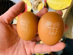 无菌蛋-一绪に寿喜烧(荟聚店)