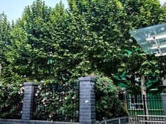 -首都医科大学附属北京天坛医院