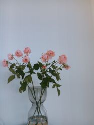 -JNK皮肤管理中心