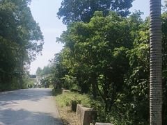 -扬美古镇景区