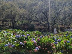 -苍山世界地质公园·石门关大峡谷