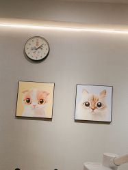 -洗脸猫·洗脸吧