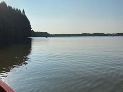 -上海海湾国家森林公园