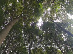 -南岳明心寺