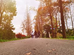 -上海长兴岛郊野公园