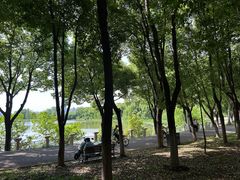 -金银湖国家城市湿地公园