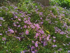 -大妙火锅·非物质文化遗产(东湖公园店)