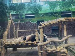 -黔灵山公园